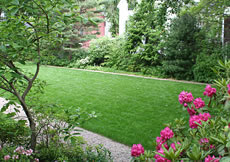 Lee Mansion and Organic Lawn Maintenance