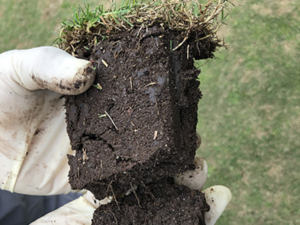 Healthy soil developed organic lawn care by Osborne Organics